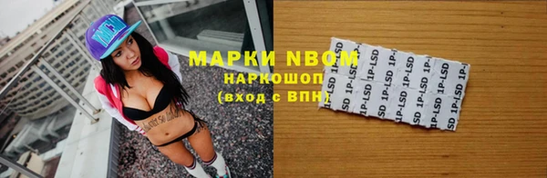 хмурый Арсеньев