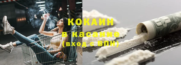 PSILOCYBIN Армянск