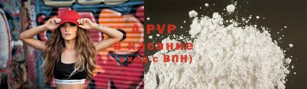 прущий лед Новозыбков
