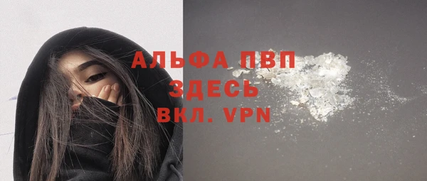 хмурый Арсеньев