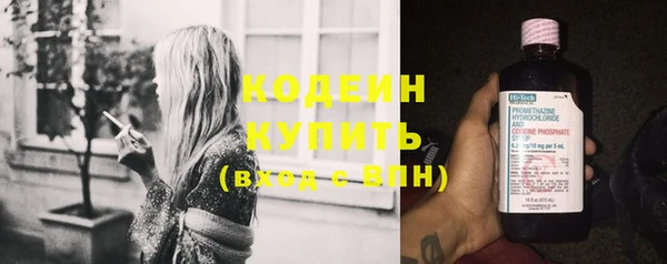 хмурый Арсеньев
