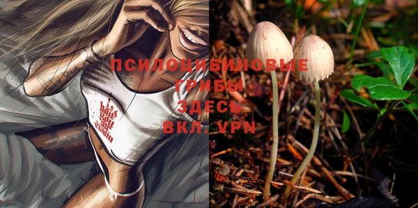 хмурый Новодвинск