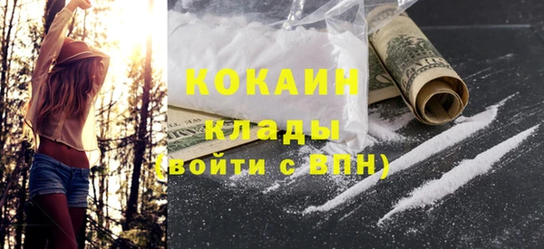 хмурый Арсеньев