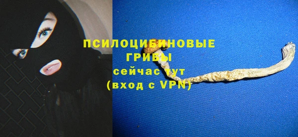 хмурый Арсеньев