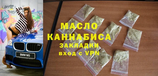 хмурый Арсеньев