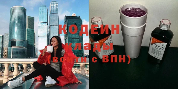 хмурый Арсеньев
