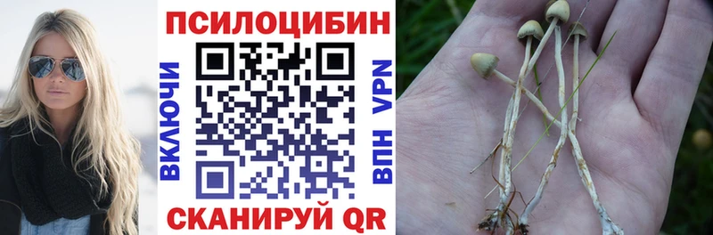 darknet как зайти  Серов  Псилоцибиновые грибы мицелий 